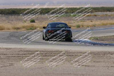 media/Oct-04-2025-OnGrid (Sat) [[44bd565ffa]]/Pink Group/Grapevine/